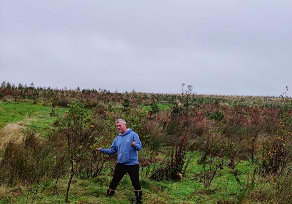 tree planting